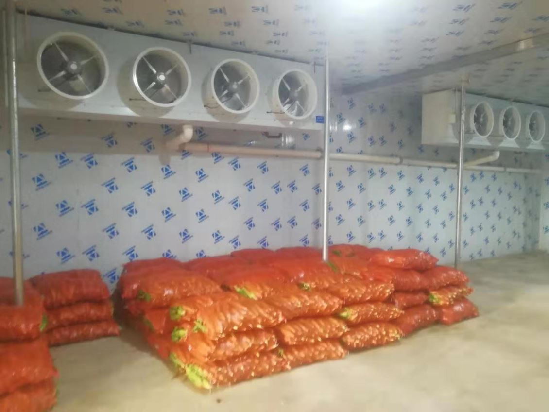 蔬菜冷庫設(shè)計(jì)